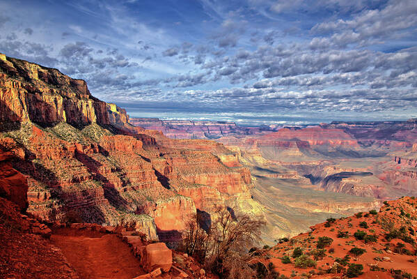 Grand Canyon Art Print featuring the photograph Grand Canyon View by Bob Falcone