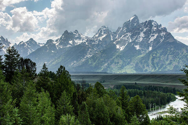 Yellowstone Art Print featuring the photograph Grand Tetons by Erin Marie Davis