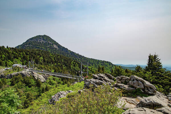Mountain Art Print featuring the photograph Grandfather Mountain by Cindy Robinson