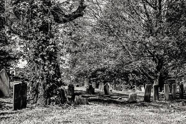 Grave Yard Tombstones Trees B&w Art Print featuring the photograph Grave Yard1 by John Linnemeyer