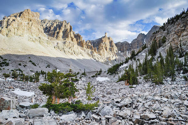 Great Basin National Park Art Print featuring the photograph Great Basin National Park Landscape by Kyle Hanson