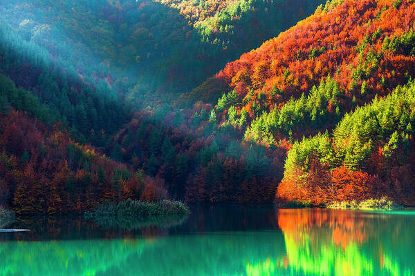 Bulgaria Art Print featuring the photograph Green Lake by Evgeni Dinev