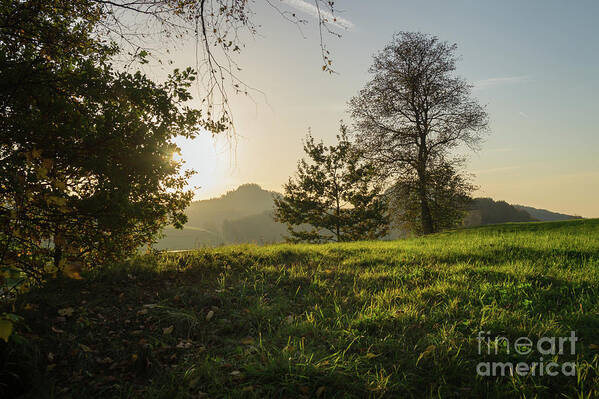 Saxon Switzerland Art Print featuring the photograph Green meadow and golden light 2 by Adriana Mueller