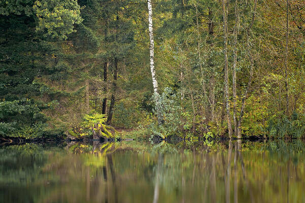 Landscape Art Print featuring the photograph Green Window by Alexander Kunz