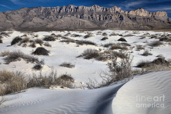 Guadalupe Art Print featuring the photograph Gypsum Cures Below The Guadalupe Mountains by Adam Jewell