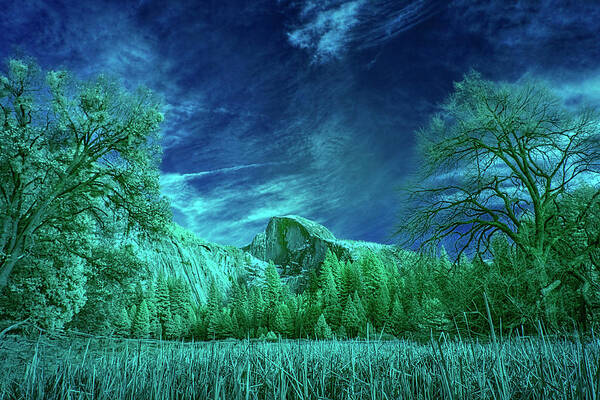 Landscape Art Print featuring the photograph Half Dome Colored Infrared by Romeo Victor