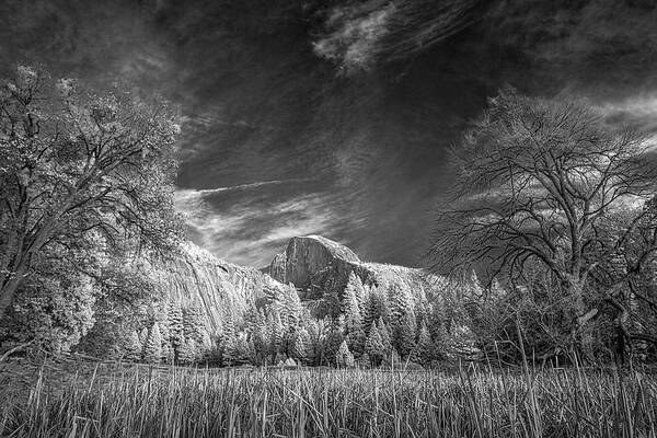 Landscape Art Print featuring the photograph Half Dome in Infrared by Romeo Victor