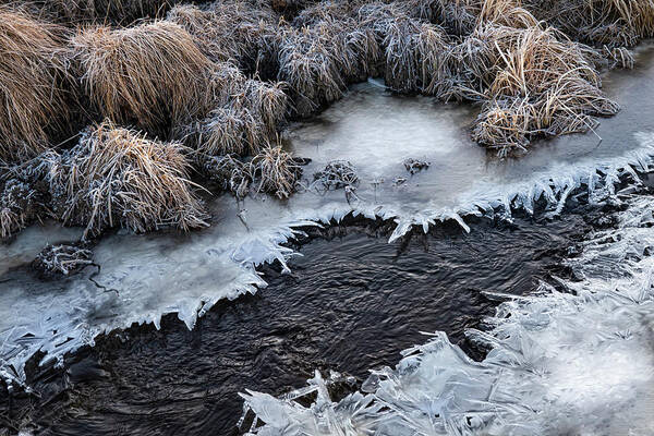 Ice Art Print featuring the photograph Half Frozen Creek by Karen Rispin