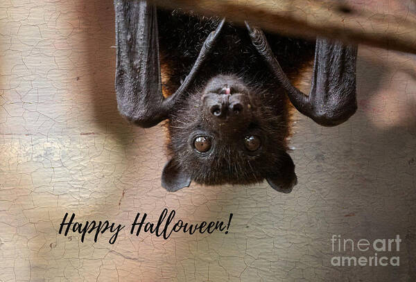 Megabat Art Print featuring the photograph Halloween Greetings by Eva Lechner