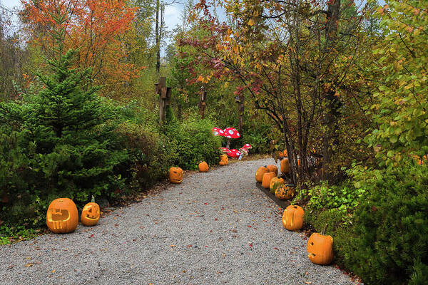 Alex Lyubar Art Print featuring the photograph Halloween Pumpkins on the gravel trail by Alex Lyubar