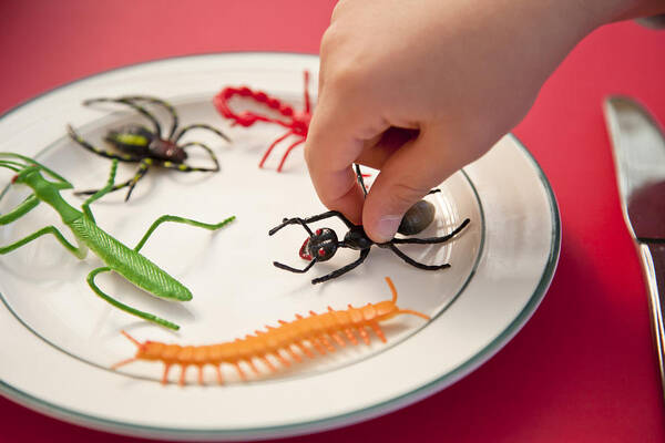 Child Art Print featuring the photograph Hand reaching for insects on a plate by Jenny Dettrick