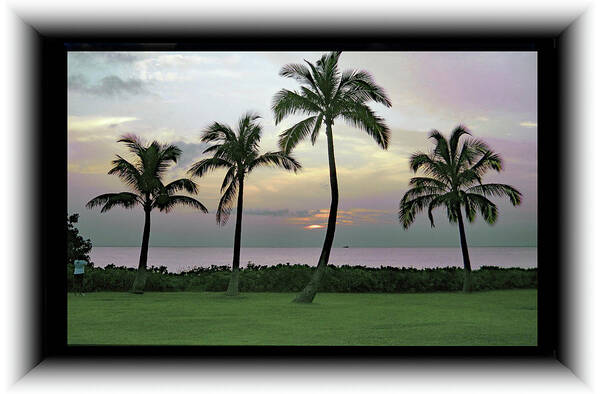 Sunset Art Print featuring the photograph Hawaiian Twilight by Richard Risely