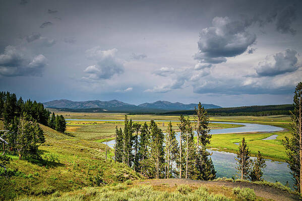 Yellowstone Art Print featuring the photograph Hayden Valley by Gary Felton