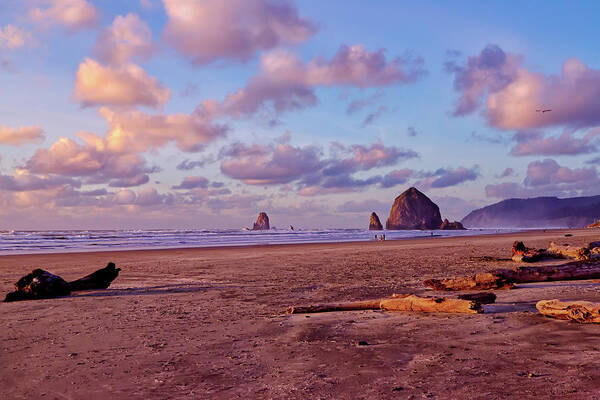 Beach Art Print featuring the photograph Haystack Rock by Loyd Towe Photography
