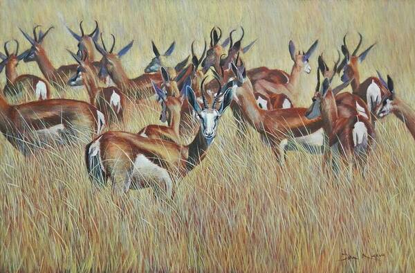 Springbok Art Print featuring the painting Herd of Springbok by John Neeve