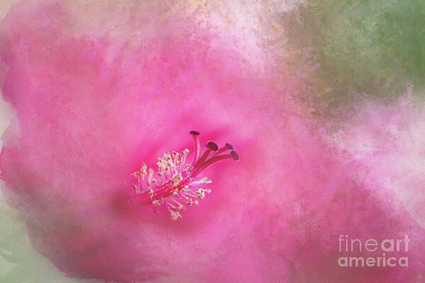 Flower Art Print featuring the photograph Hibiscus Watercolor by Amy Dundon