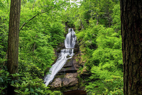 Dingmans Falls Art Print featuring the photograph Hidden Gem by Rose Guinther