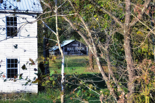 Barn Art Print featuring the photograph Hidden Pouch by Andrea Platt