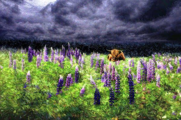 Highlander Art Print featuring the photograph Highland Storm #1 Dreams of the Storm by Wayne King
