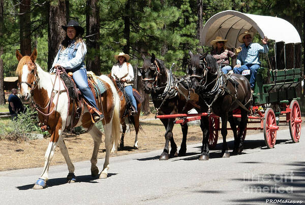 South Lake Tahoe Art Print featuring the photograph Hiway 50 Wagontrain by PROMedias US