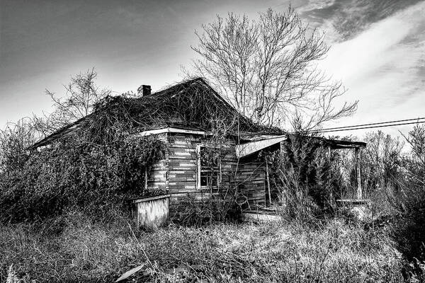 Black And White Art Print featuring the photograph Home, Alone by Addison Likins