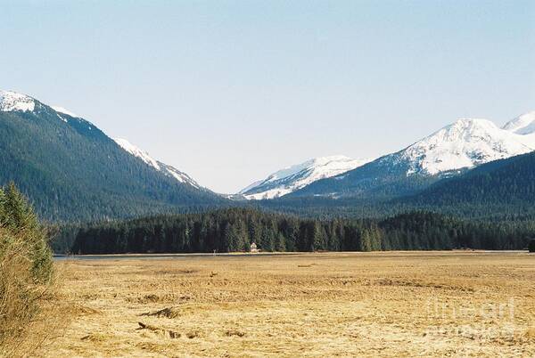 #alaska #ak #juneau #cruise #tours #vacation #peaceful #sealaska #southeastalaska #calm #douglas #eaglecrestskiresort #capitalcity #clearskies #clearblueskies #blueskies #35mm #analog #film #sprucewoodstudios Art Print featuring the photograph Home Isolated by Charles Vice