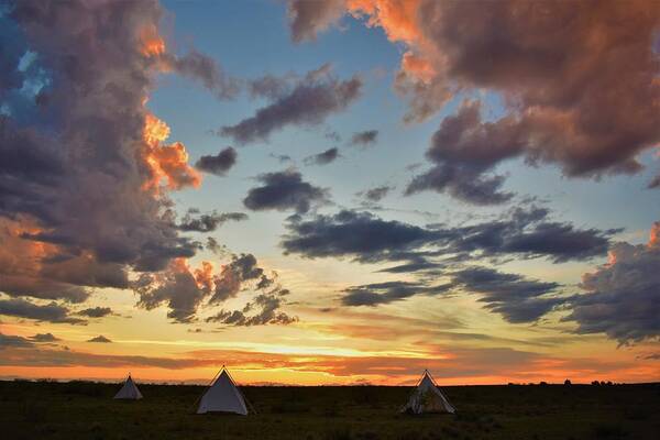 Western Art Art Print featuring the photograph Home on the Range by Alden White Ballard