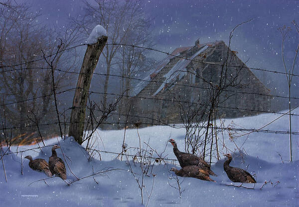 Ron Jones Art Print featuring the photograph Home Through The Snow by Ron Jones