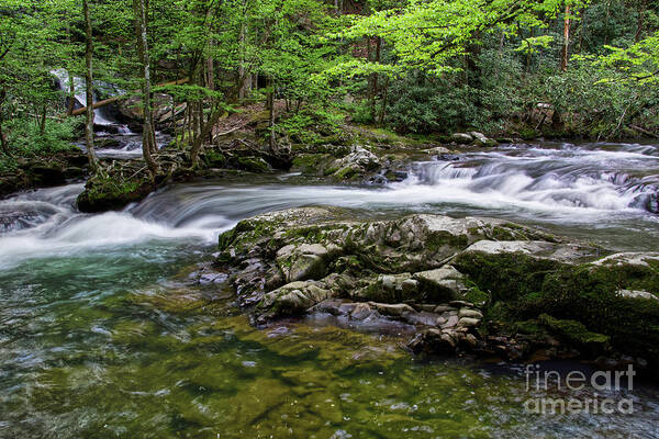 Honey Cove Falls Art Print featuring the photograph Honey Cove Falls 6 by Phil Perkins