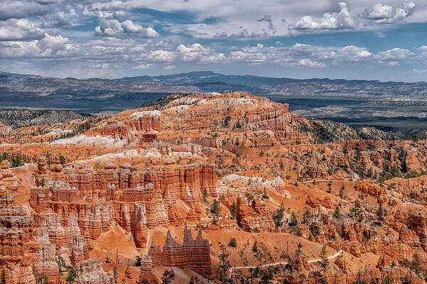 Bryce Art Print featuring the photograph Hoodoo Heaven I by Phil Marty