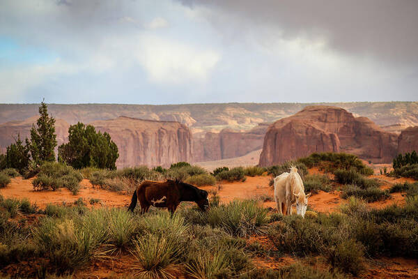 Monument Valley Art Print featuring the photograph Horses in Monument valley by Alberto Zanoni