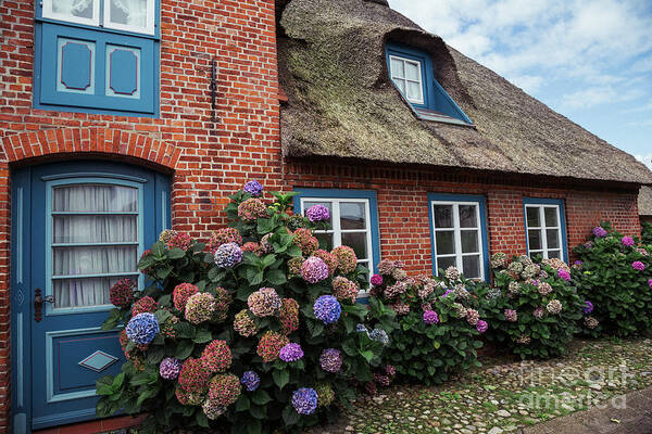 House Art Print featuring the photograph Hortensia Beauty by Eva Lechner