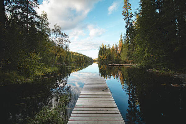 Male Emotion Art Print featuring the photograph Hossa national park, Finland by Vaclav Sonnek