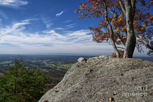 House Mountain Art Print featuring the photograph House Mountain 28 by Phil Perkins