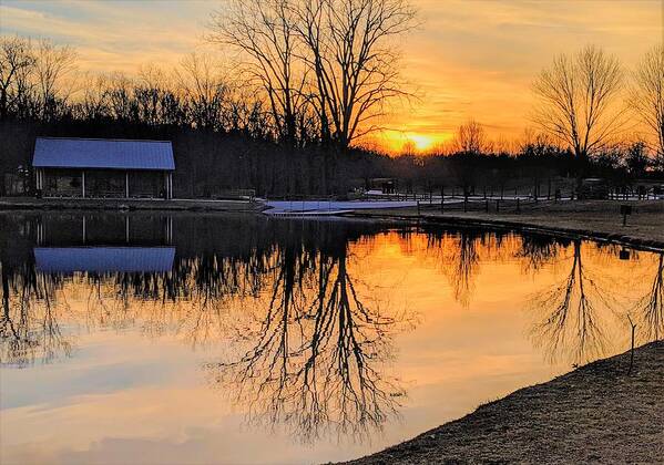  Art Print featuring the photograph Hudson Springs Park Sunset by Brad Nellis