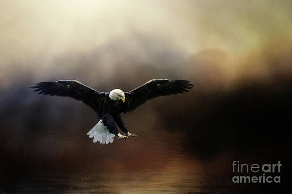 Bald Eagle Art Print featuring the photograph Hunting From Above by Ed Taylor