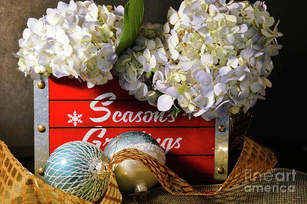 In-house Art Print featuring the photograph Hydrangea Seasonal Box by Diana Mary Sharpton