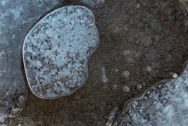 Bubbles Art Print featuring the photograph Ice Abstract With Bubbles by Phil And Karen Rispin