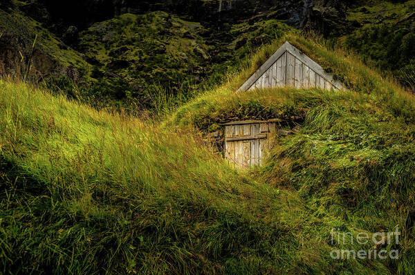 Iceland Art Print featuring the photograph Iceland Farm Turf Building by M G Whittingham
