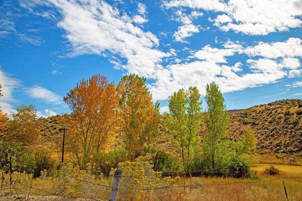 Fall Art Print featuring the photograph Idaho Fall Colors by Dart Humeston