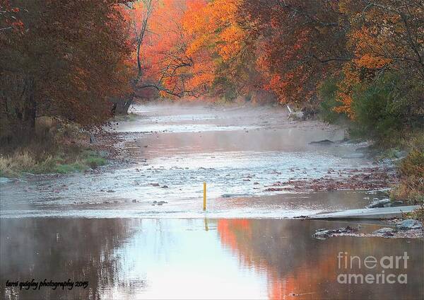 Mist Art Print featuring the photograph In The Early Morning Mist by Tami Quigley