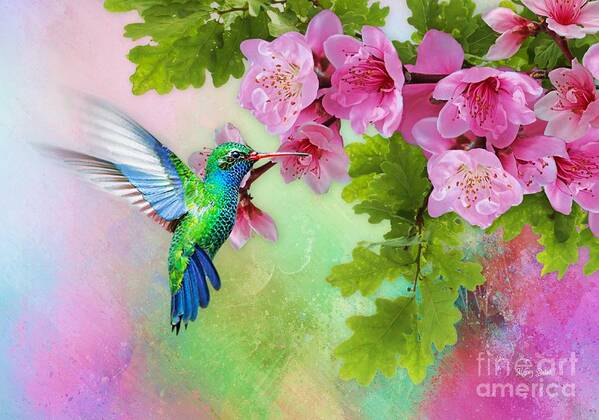 Hummingbird Art Print featuring the mixed media In the Pink by Morag Bates