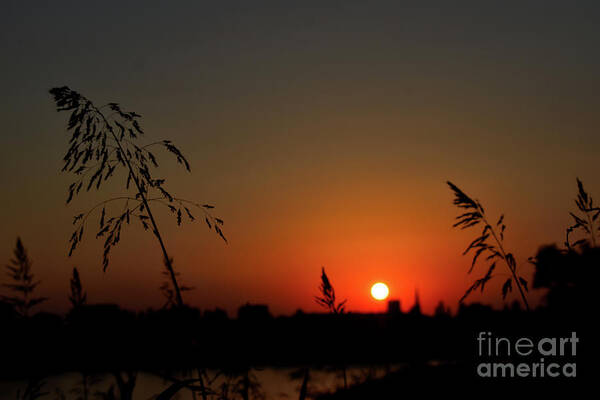 Nature Art Print featuring the photograph In the Vermilion Fields of Twilight by Leonida Arte