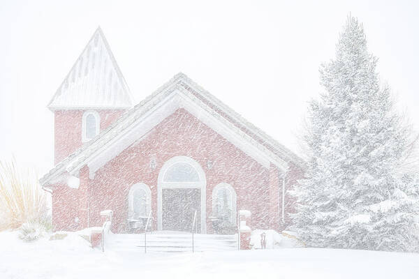 Snow Art Print featuring the photograph Inside a Snow Globe by Darren White