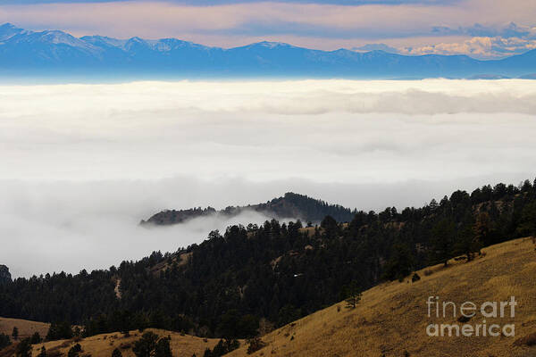Sangre De Cristo Mountains Art Print featuring the photograph Island in the Fog by Steven Krull
