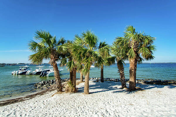 Island Art Print featuring the photograph Island Palm Trees and Boats, Pensacola Beach, Florida by Beachtown Views