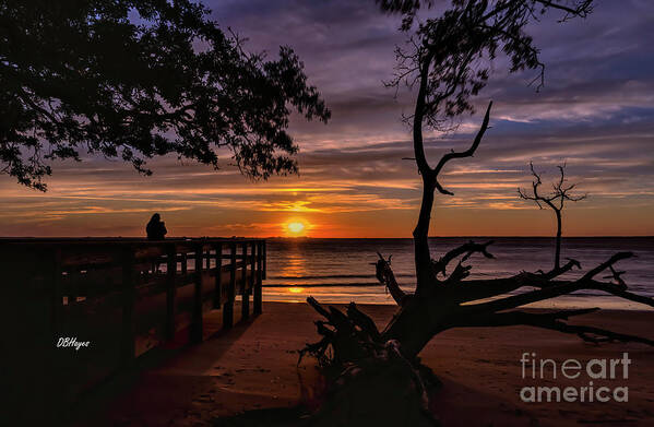 Dust Art Print featuring the photograph Jekyll Island Serenity At Dust by DB Hayes