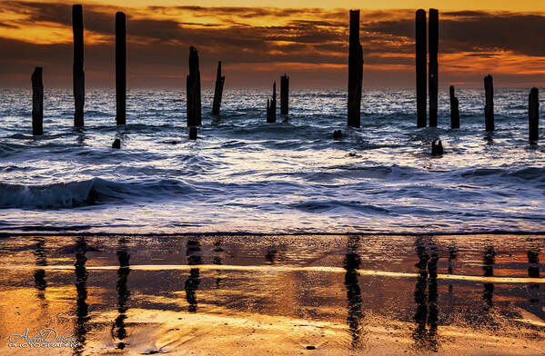 Jetty Art Print featuring the photograph Jetty Posts by Andrew Dickman