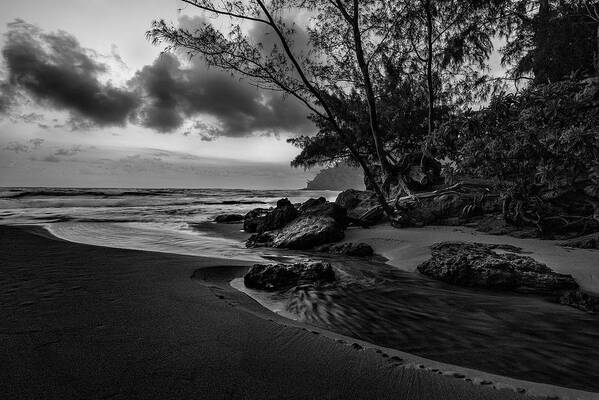 Art Art Print featuring the photograph Kauai Beach Sunrise by Jon Glaser