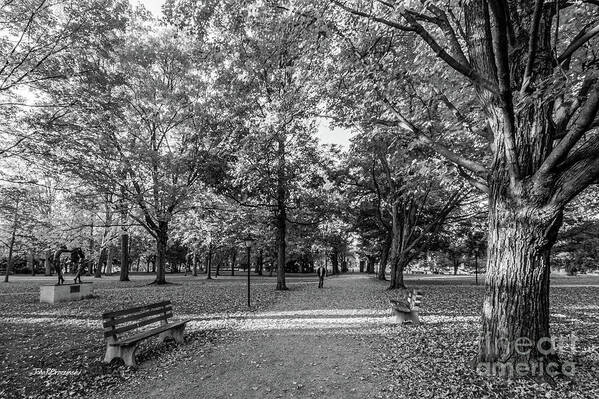 Kenyon College Art Print featuring the photograph Kenyon College Middle Path by University Icons
